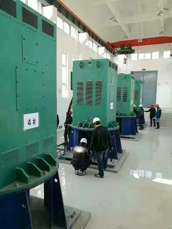 YKS500-10某污水处理厂使用我厂的立式高压电机安装现场